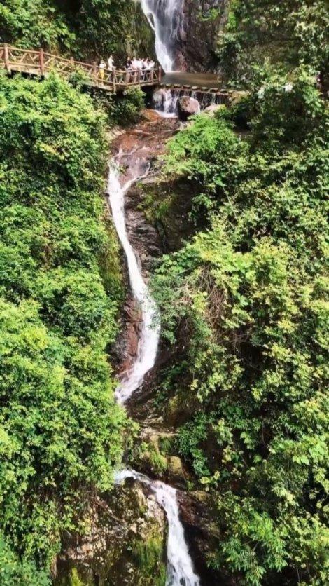 洛克王国